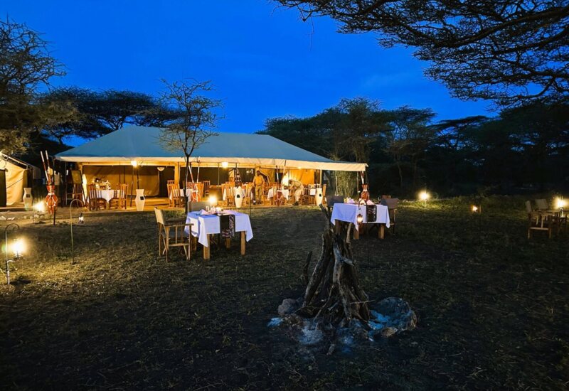 Outdoor safari dining area with white tablecloths, lanterns, and a central fire pit under a large tent at dusk