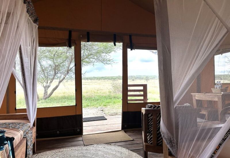 Safari tent interior with mosquito net draped beds, wooden furniture, and a porch overlooking open savannah landscape