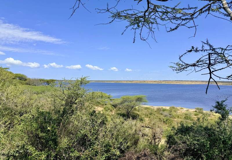 Lakeside view from a lodge terrace with deep blue water, golden shoreline and acacia branches framing clear sky