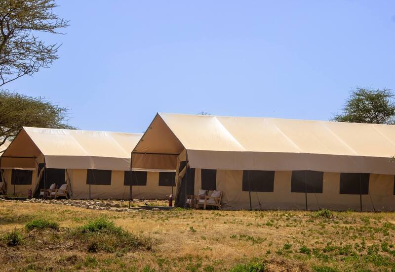 Canvas luxury safari tents with shaded verandas, outdoor seating and relaxed lounge area on dry savanna under a clear blue sky