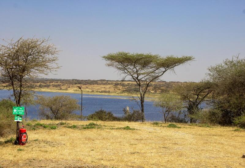 Lakeside savannah with flat-topped acacia trees, blue water and golden grass; lamp post, fire extinguisher and assembly point sign visible