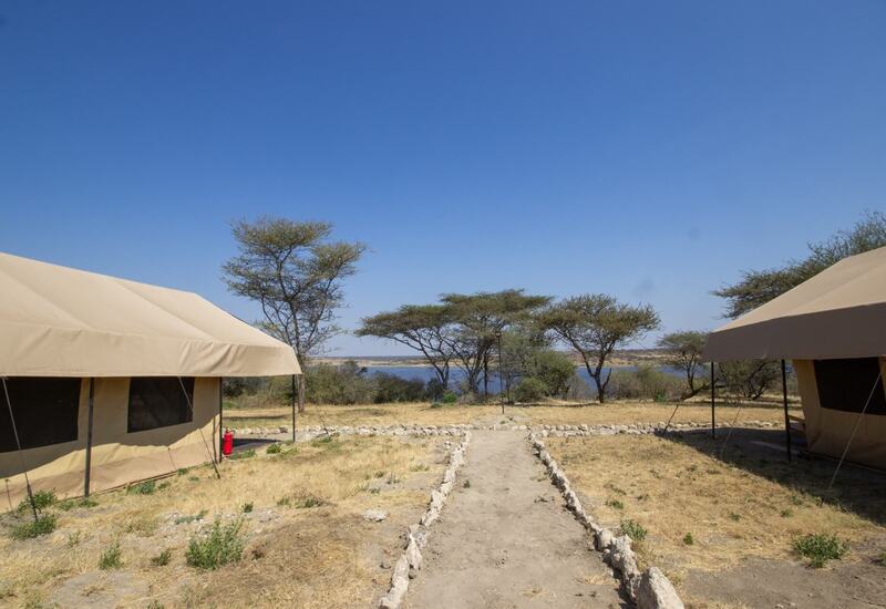 Canvas safari tents flank a stone path to a river, framed by acacia trees under a clear blue sky—glamping retreat.