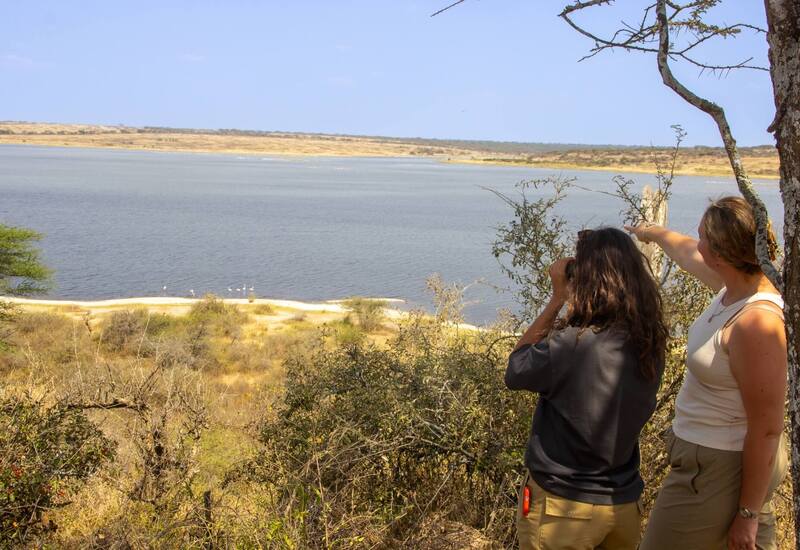 Guests birdwatching from a shaded lodge lookout, one pointing as another scans a lake with flamingos along a sandy shore.