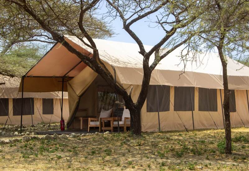 Canvas safari tent with shaded veranda, wooden lounge chairs and cushions beneath acacia trees in dry bush setting.