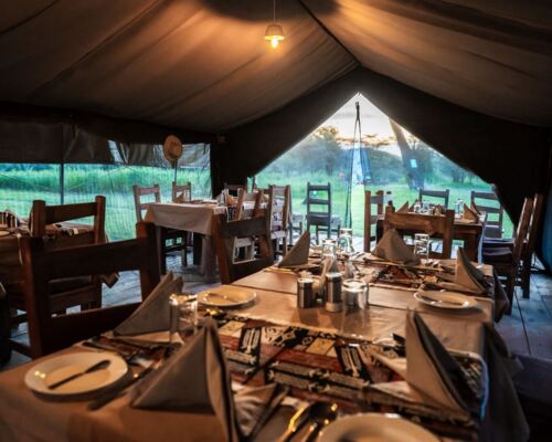 Safari dining tent with wooden tables set for dinner, folded napkins and cutlery, warm light and grassy savanna views.