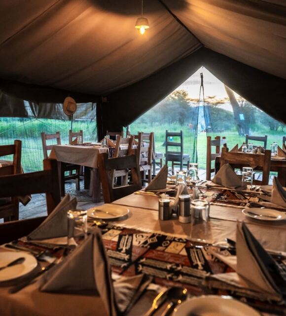 Safari dining tent with wooden tables set for dinner, folded napkins and cutlery, warm light and grassy savanna views.