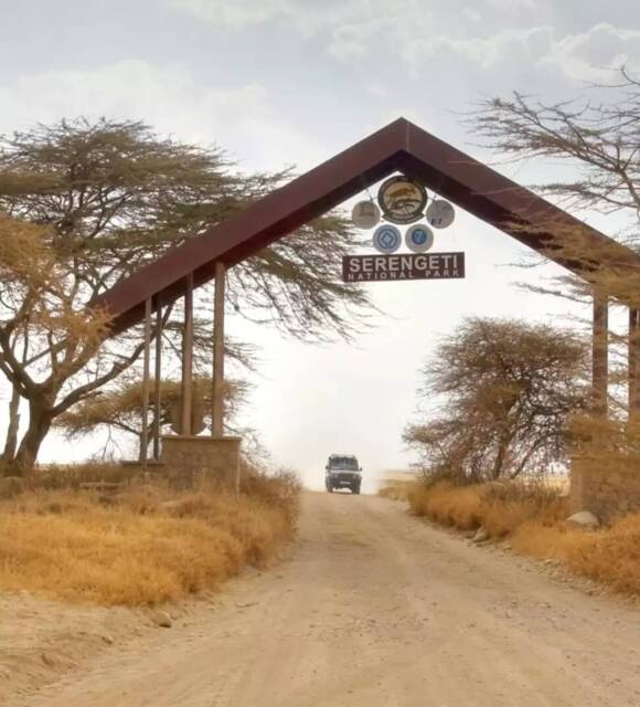 Wooden A-frame entrance to Serengeti National Park over dusty savanna road, safari jeep approaching for guided game drives.
