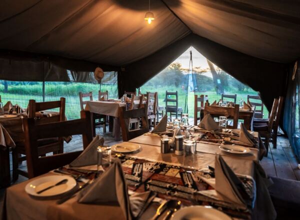 Safari dining tent with wooden tables set for dinner, folded napkins and cutlery, warm light and grassy savanna views.