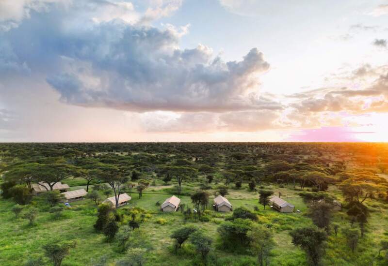 Canvas safari tents in a secluded bush camp among acacia trees on the savanna at sunset, offering rustic comfort and wide views.