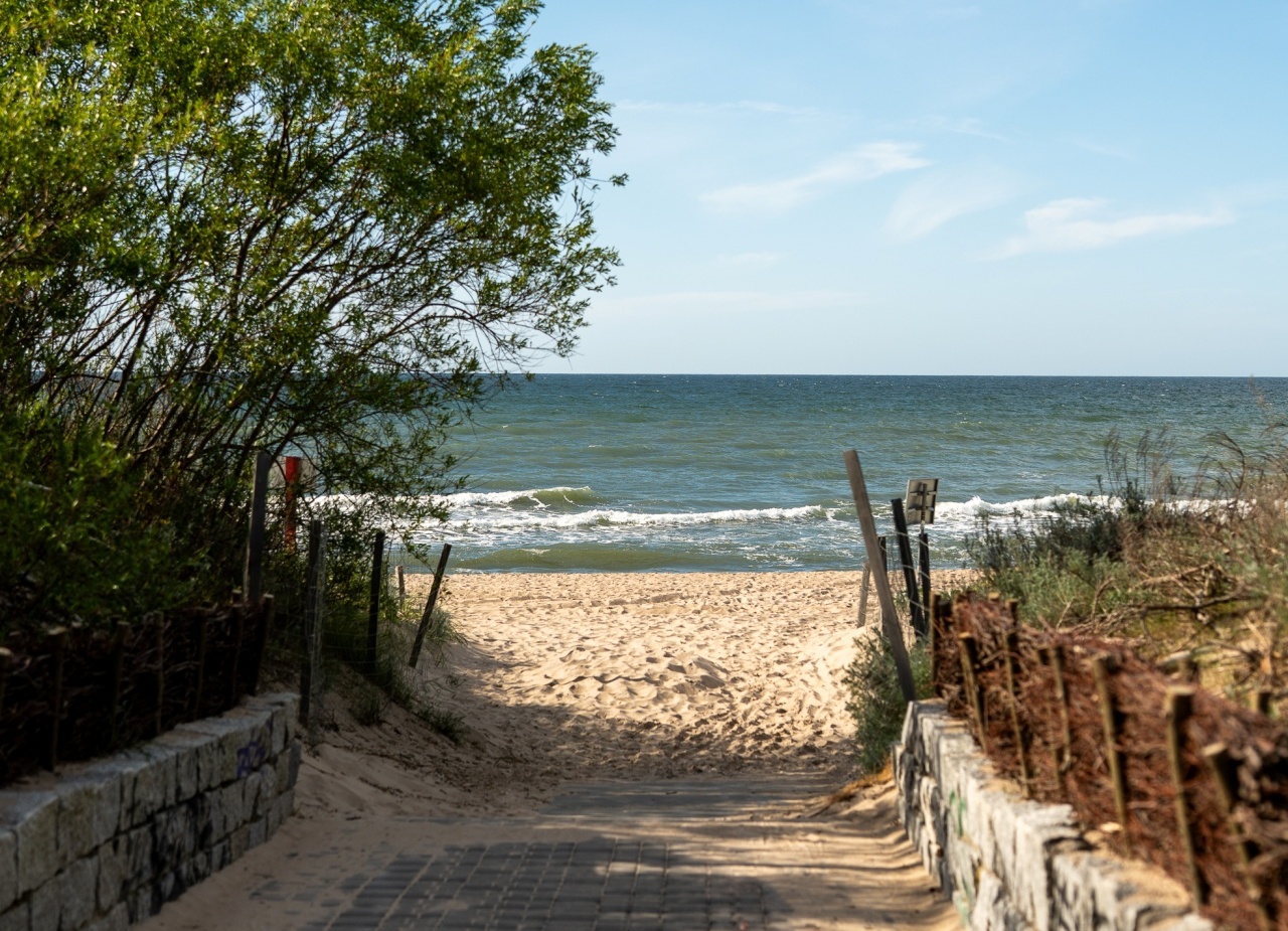 Ścieżka między kamiennymi murkami i wydmami prowadząca do piaszczystej plaży z widokiem na morze i łagodne fale