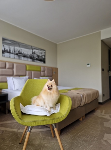 Haustierfreundliches Hotel