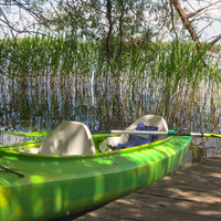 Zielony kajak przy drewnianym pomoście na spokojnym jeziorze otoczonym trzcinami i lasem w oddali.