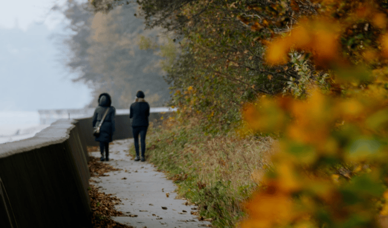 Gäste gehen im Herbst entlang einer Uferpromenade, umgeben von buntem Laub und kühlem, nebligem Wetter