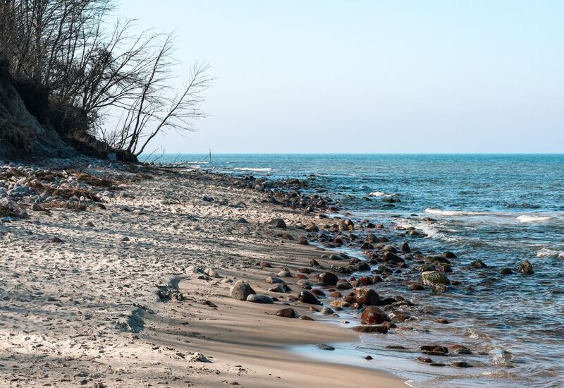 Spokojna plaża z kamieniami i suchymi drzewami nad brzegiem spokojnego morza pod błękitnym niebem
