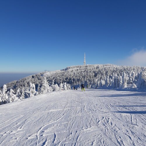 Zimowy stok narciarski z ośnieżonymi drzewami i ludźmi na nartach na tle góry z wieżą telewizyjną pod czystym niebem