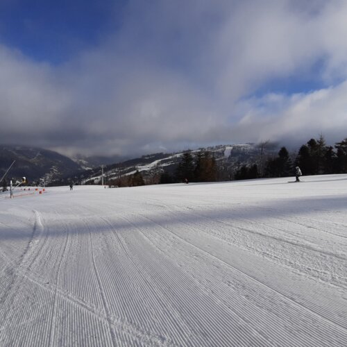 Gładko przygotowany stok narciarski z kilkoma narciarzami, widok na drzewa i ośnieżone góry w tle pod pochmurnym niebem