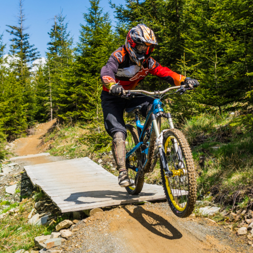 Rowerzysta wykonujący skok na górskiej trasie rowerowej wśród zielonych drzew w słoneczny dzień