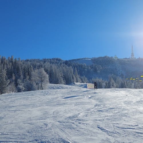 Narciarze zjeżdżający po ośnieżonym stoku z wyciągiem krzesełkowym i ośnieżonymi drzewami w słoneczny zimowy dzień.