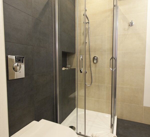 Modern ensuite bathroom with glass shower enclosure, handheld shower, recessed shelf, wall-mounted toilet and towels.