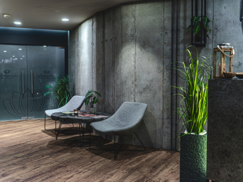 Modern spa area with concrete walls, comfortable gray chairs, green plants, and soft lighting for a relaxing atmosphere