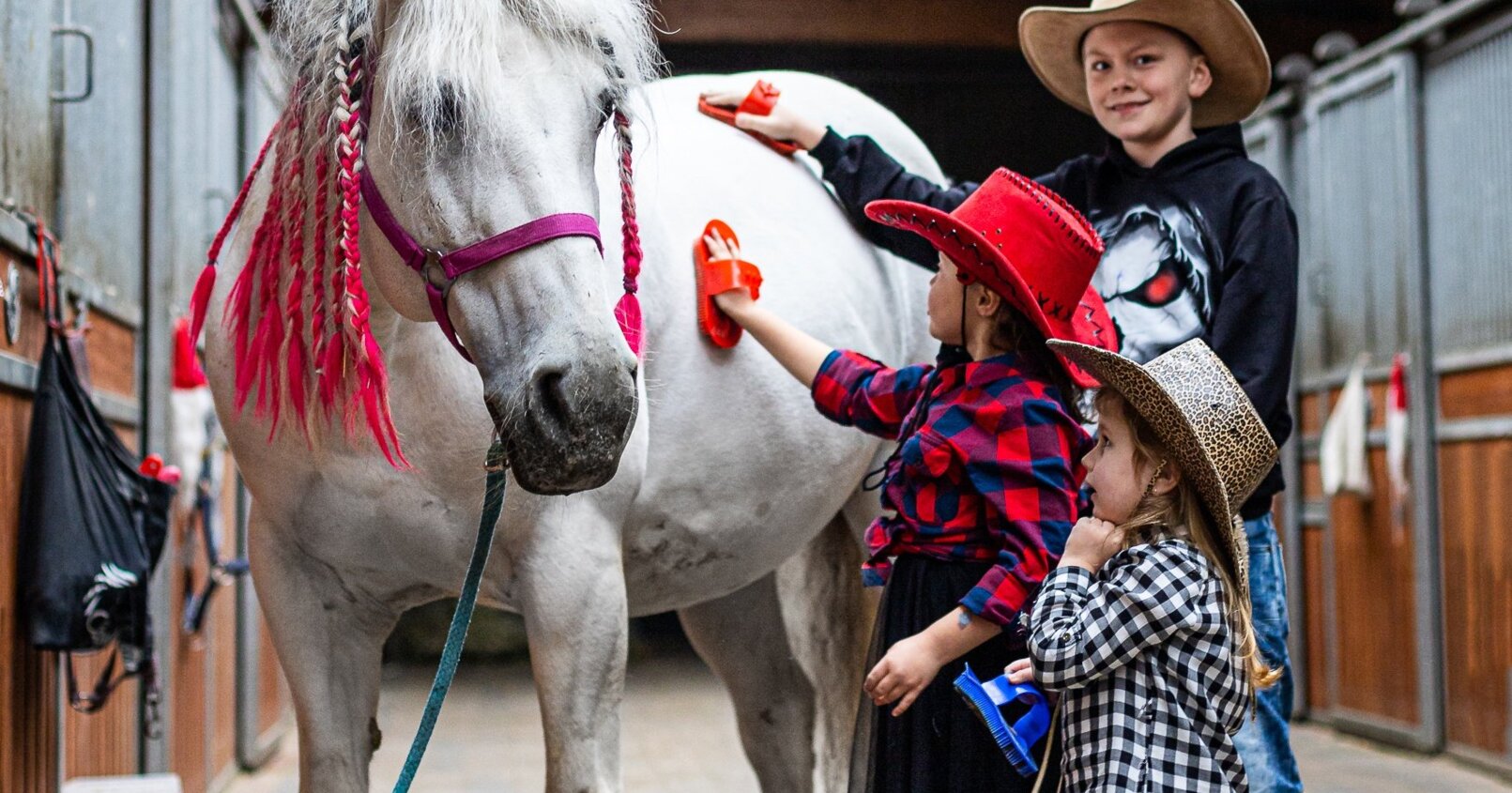 wakacje w siodle dla dzieci