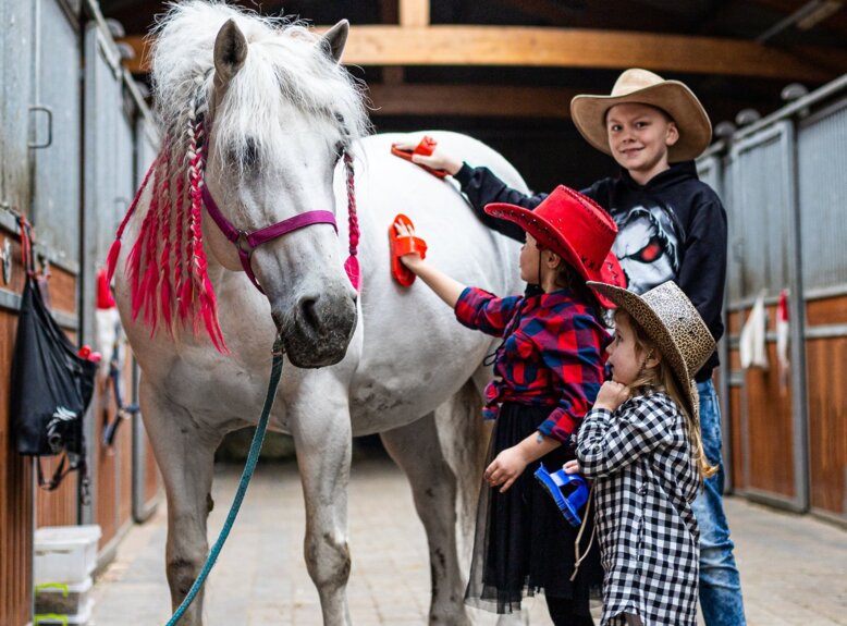 wakacje w siodle dla dzieci