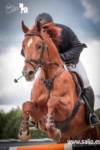 ośrodki jeździeckie