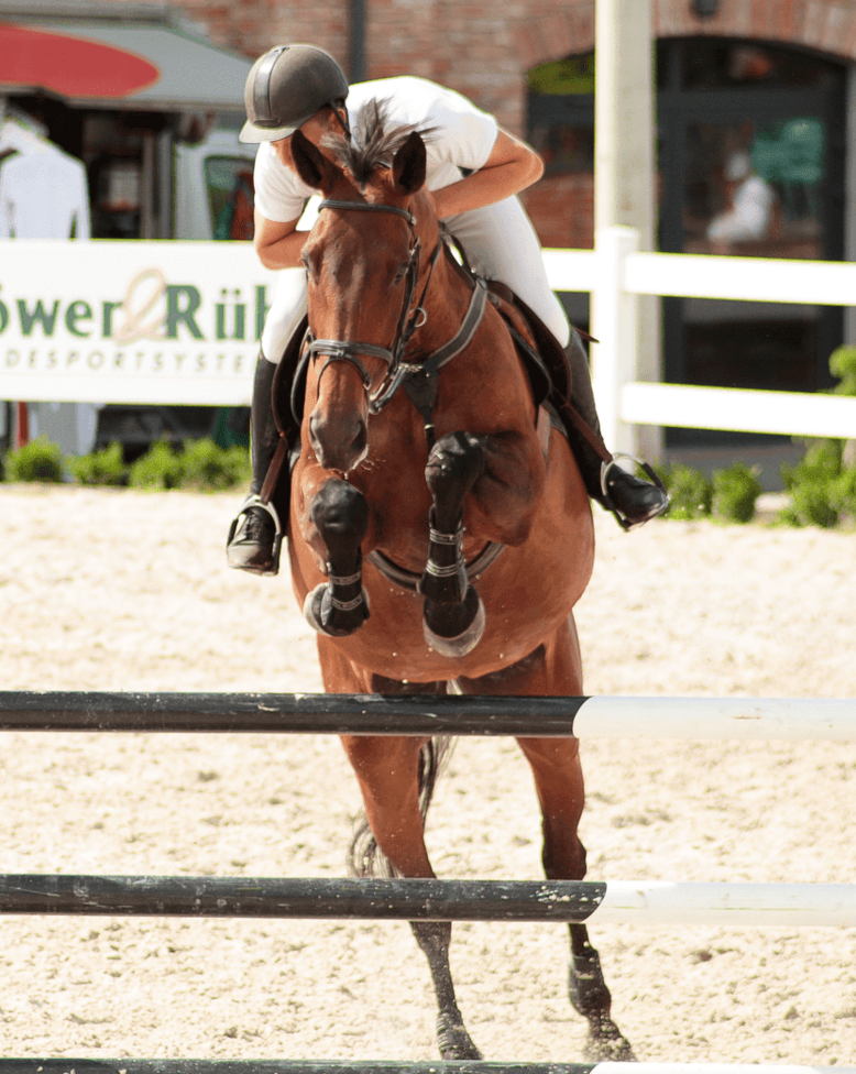 ośrodki jeździeckie