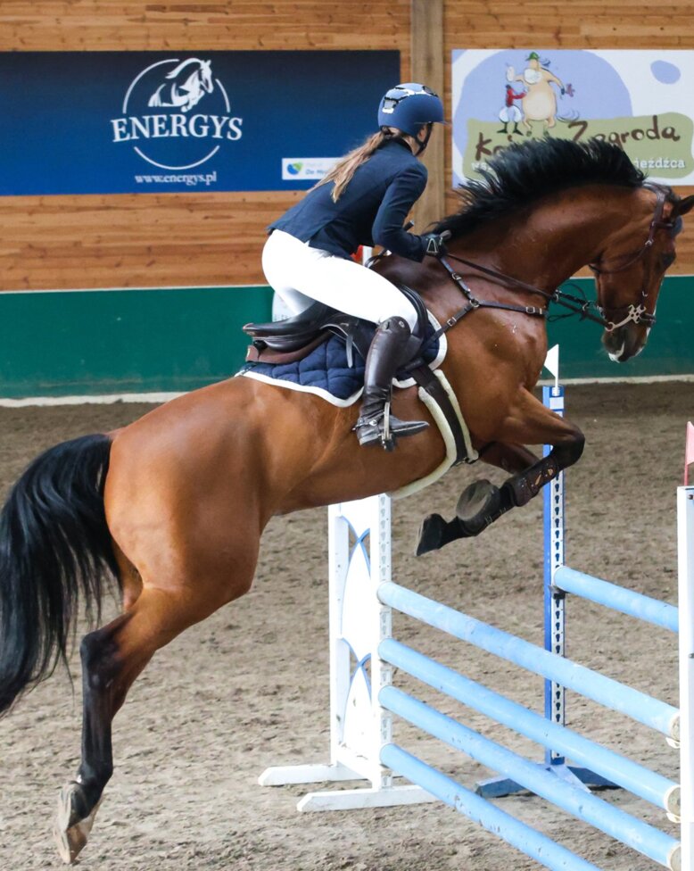 ośrodki jeździeckie