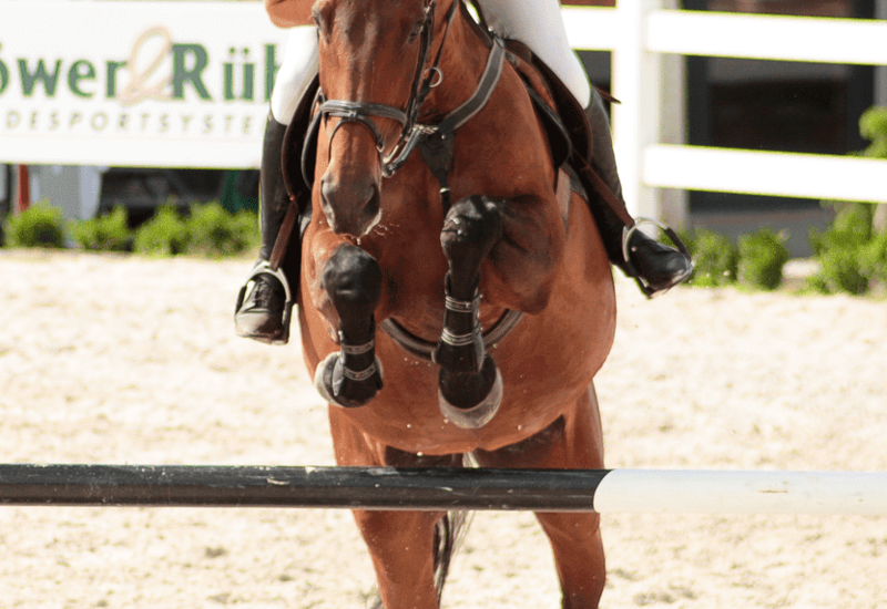 ośrodki jeździeckie