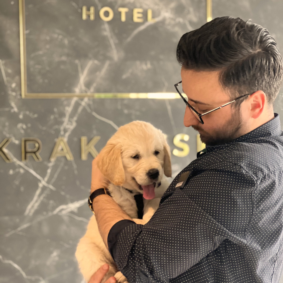 Twój pies mile widziany – Arche Hotel Krakowska wspiera zwierzęta i akceptuje pupile.