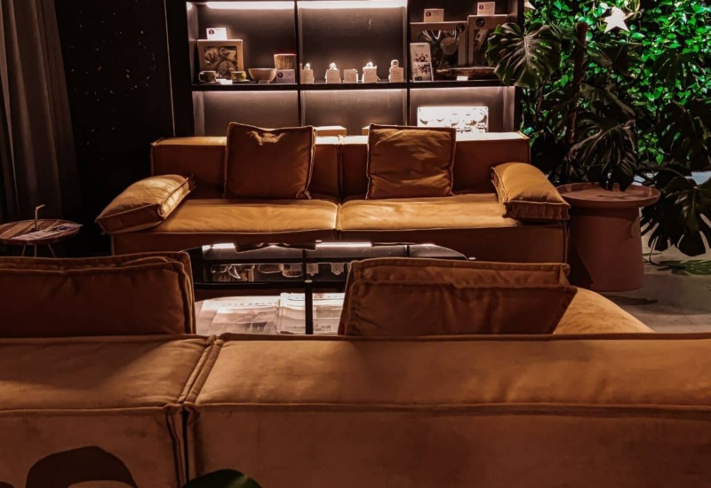 Stylish hotel lounge with brown sofas, illuminated shelves, and large green plant creating a cozy, inviting ambiance