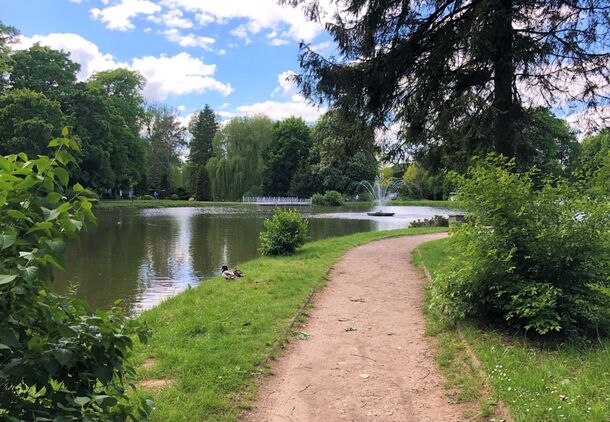 Malownicza ścieżka wśród zieleni nad stawem z fontanną, łabędzie odpoczywają przy brzegu pod błękitnym niebem.