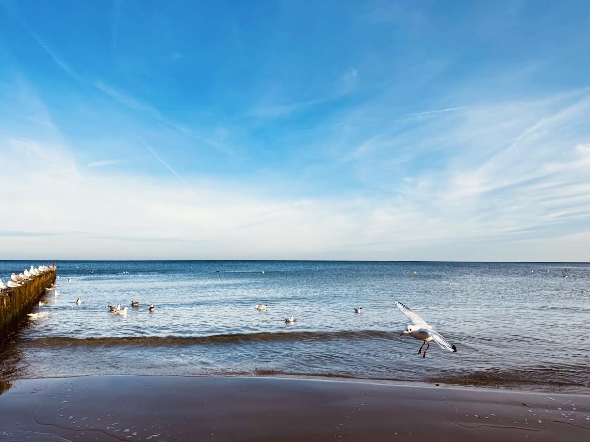 ferie w Kołobrzegu 2026 – ferie nad morzem, ferie polecany hotel z basenem Factory Resort