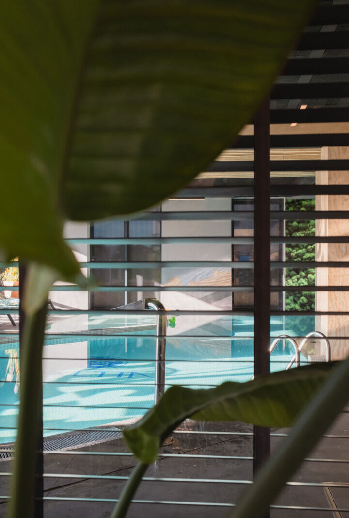 Widok przez liście na spokojny, kryty basen hotelowy z metalową barierką i naturalnym oświetleniem.