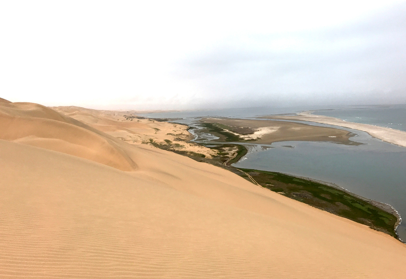Golden sand dunes rolling down to a green estuary and narrow beachfront lagoon where tidal channels meet a calm gray ocean