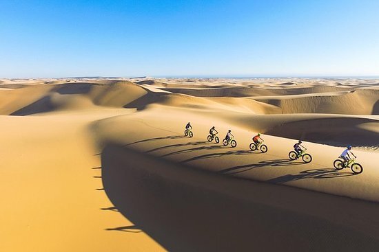 Group of cyclists on fat-tire bikes riding along sunlit sand dunes during a guided desert bike tour with sweeping vistas
