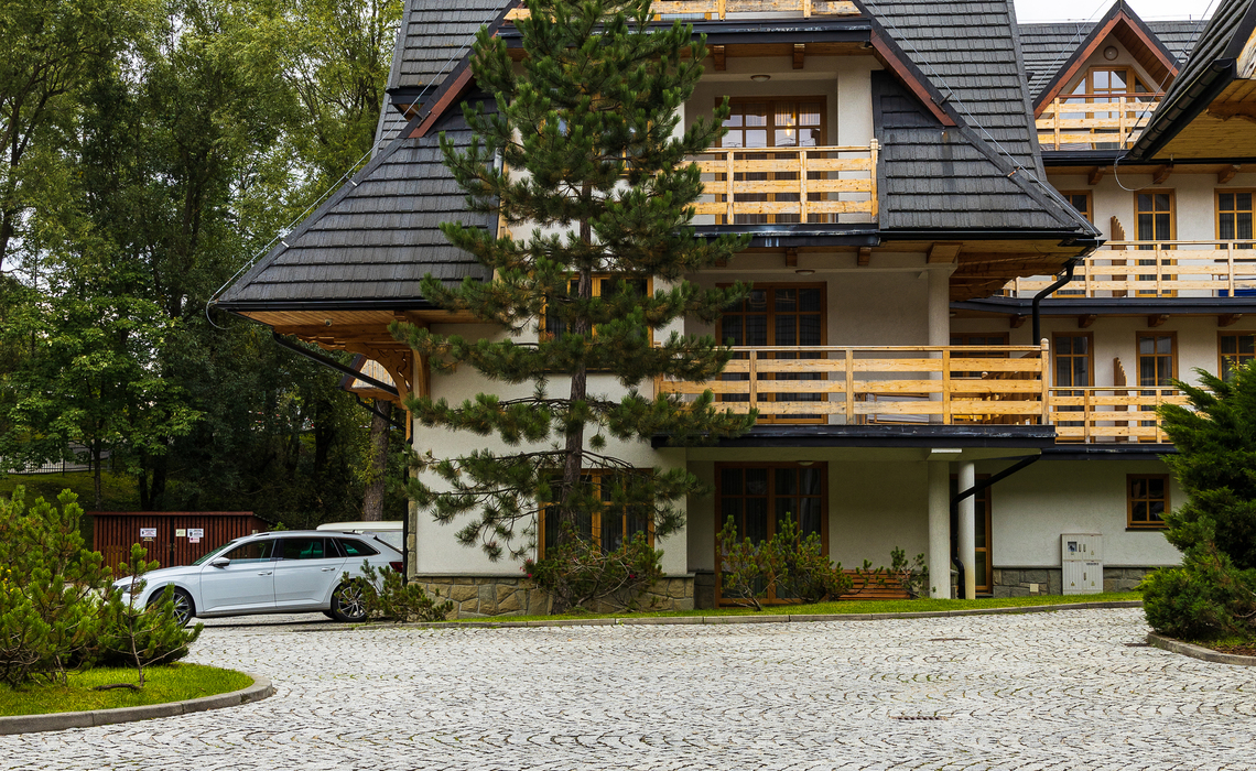 newsletter bg