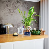 recepcja w apartamencie Belmarpark