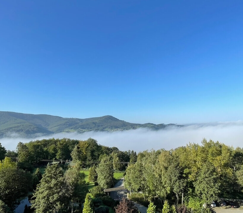 Utsikt över frodiga gröna träd och avlägsna berg ovanför morgondimma under en klar blå himmel