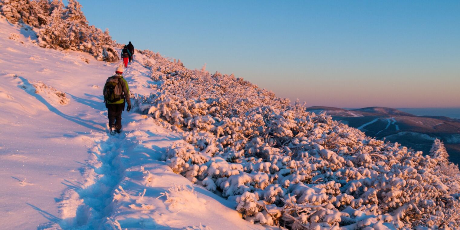 Turyści spacerują zimowym szlakiem w górach przy zachodzie słońca, otoczeni śnieżnymi drzewami i malowniczymi widokami.