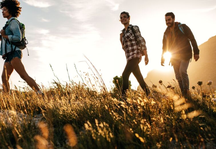 Group hiking through a sunny mountain meadow at sunset, enjoying scenic outdoor nature experience.