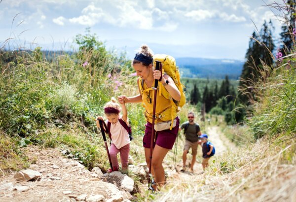Family hiking on a rocky mountain trail surrounded by greenery and wildflowers on a sunny day