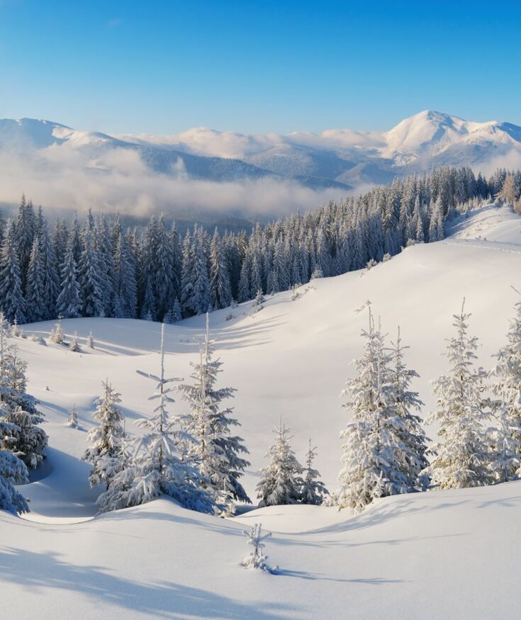Zimowy krajobraz górski z ośnieżonymi drzewami i drewnianymi chatkami na szczycie pokrytym śniegiem