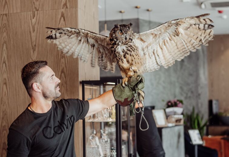 Man holding an owl with outstretched wings on a glove in a modern hotel lobby with wood paneling and plants