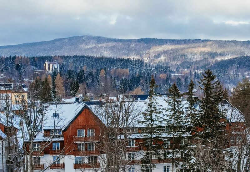 Hotel w górskim klimacie z drewnianą architekturą, widok na zaśnieżony las i góry w tle