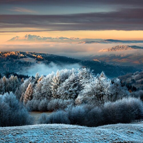 Uprzejmie informujemy, że gabinety zabiegowe przechodzą modernizację (usługi świadczone są w ograni