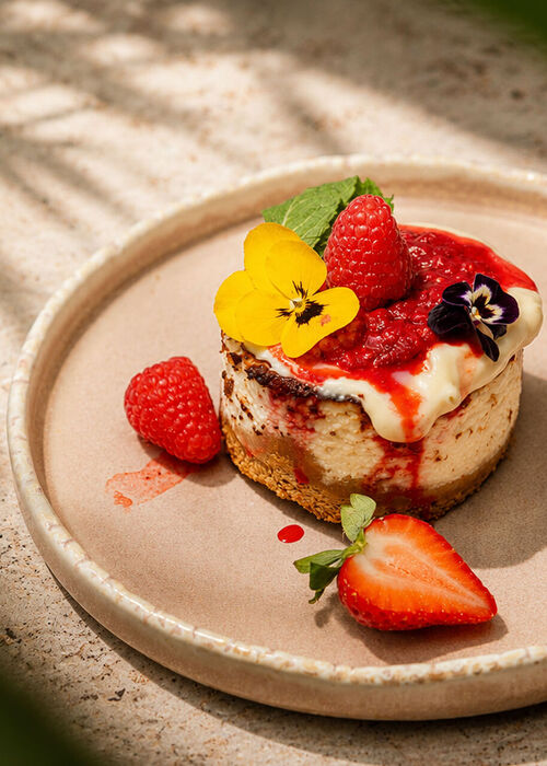 Mini cheesecake s malinovou omáčkou, čerstvými bobulemi a jedlými květy na slunném keramickém talíři
