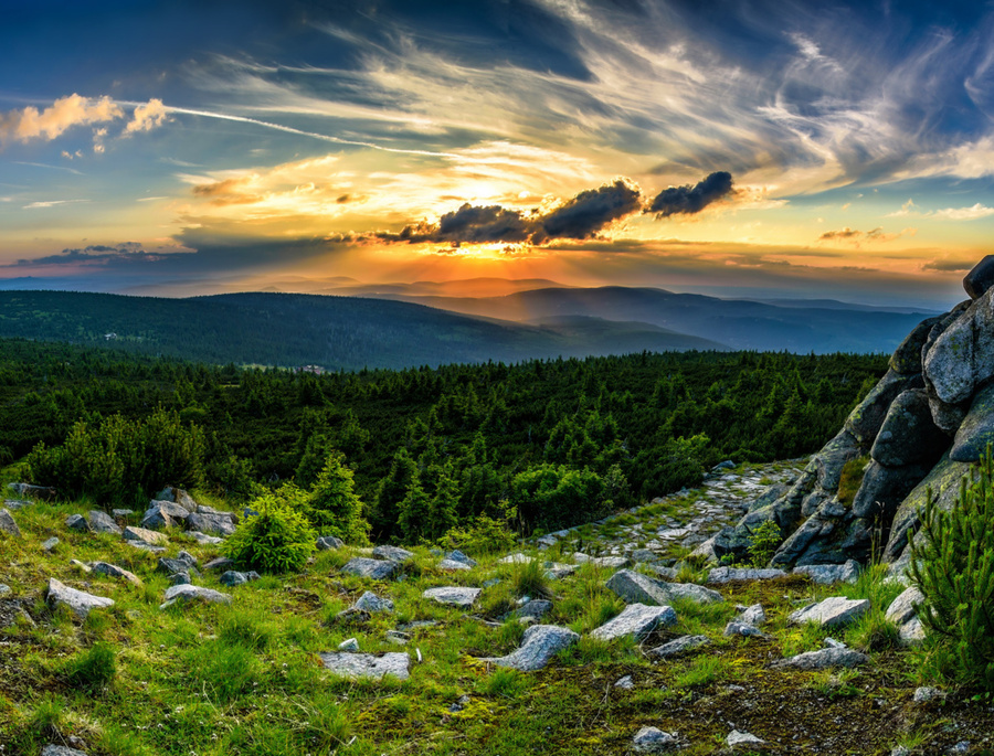 Panoramic sunset over rolling pine-covered mountains, rocky summit path and stacked firewood at a viewpoint