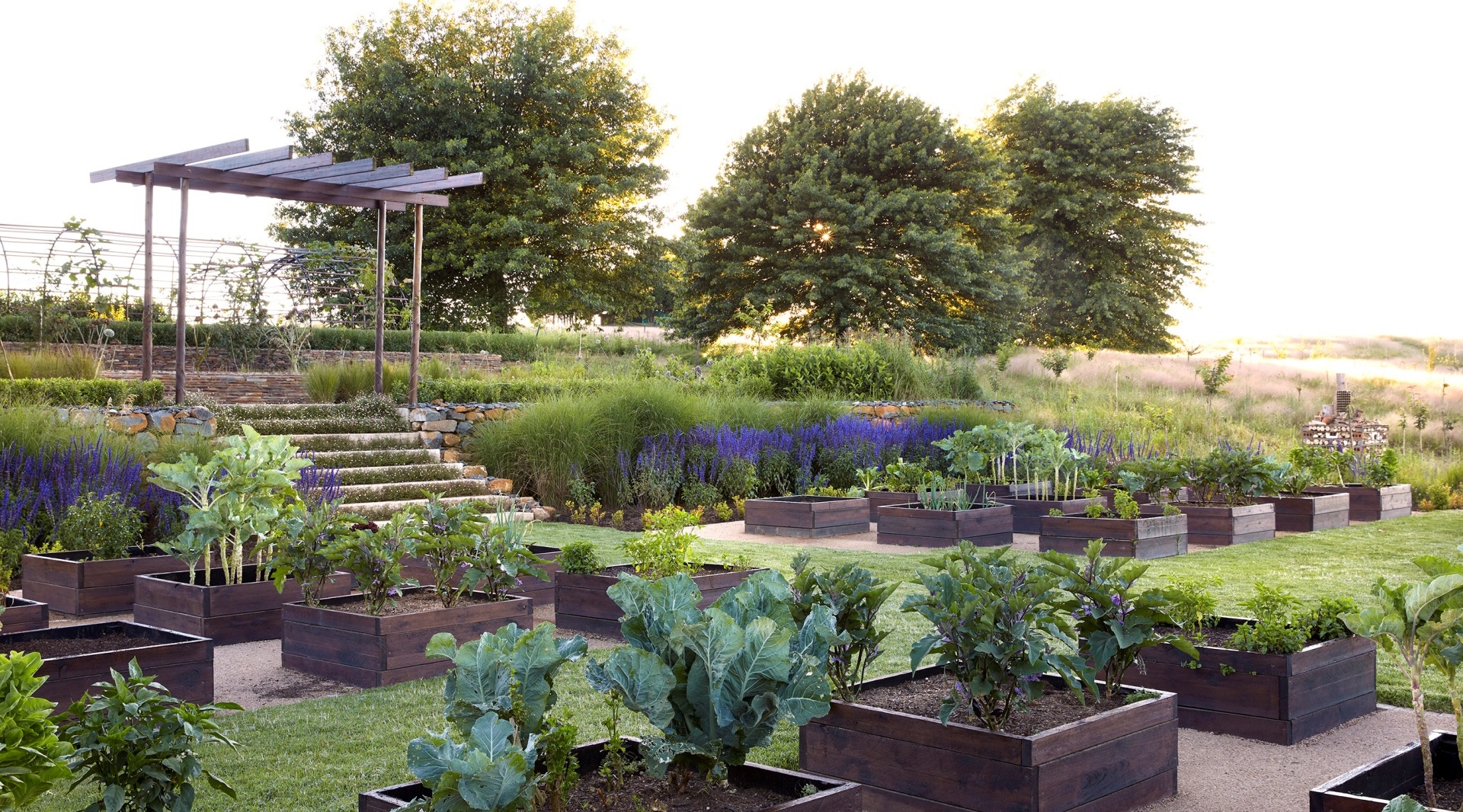 On-site kitchen garden with neat wooden raised beds, stone steps, pergola and lavender borders beneath sunlit mature trees